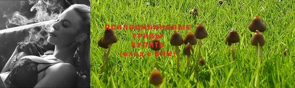 mdpv Абдулино