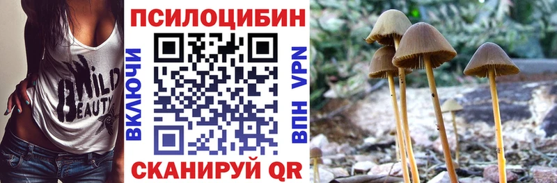Псилоцибиновые грибы Magic Shrooms  Богданович 